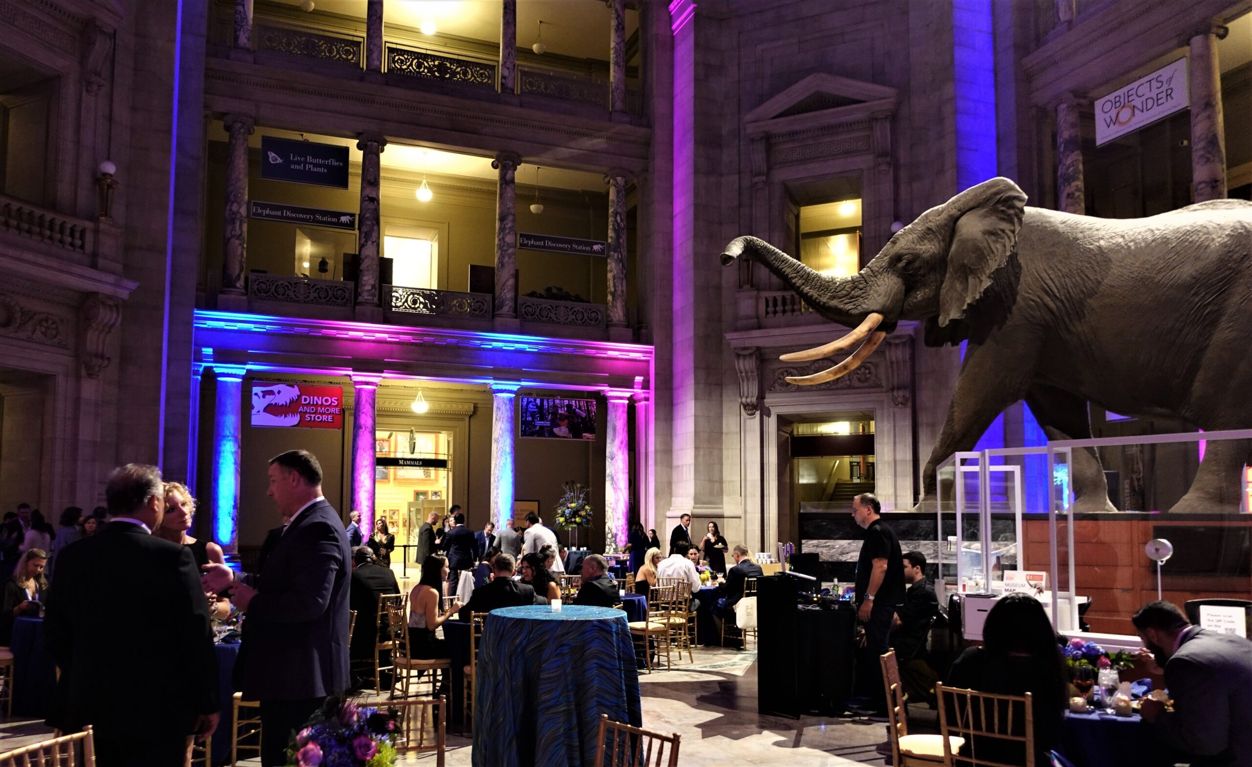 Dental Service Organization Lightwave Dental